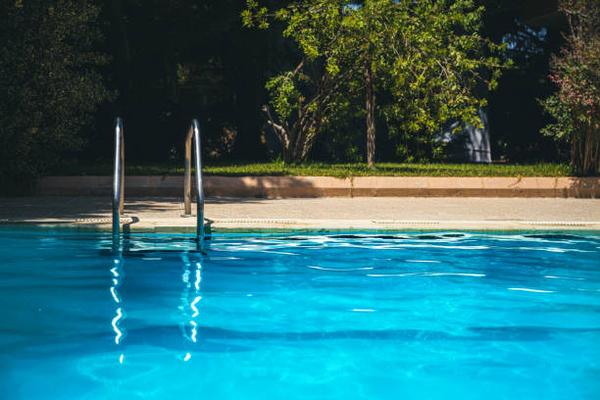 Westgate Resorts Review Luxury, Amenities, and More What’s the Verdict